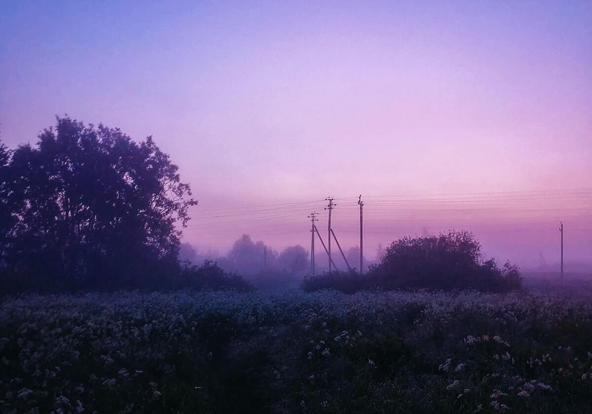 业内人士在晚高峰间遭遇秘闻 全网炸裂,蘑菇影视在线观看全网炸锅,详情查看