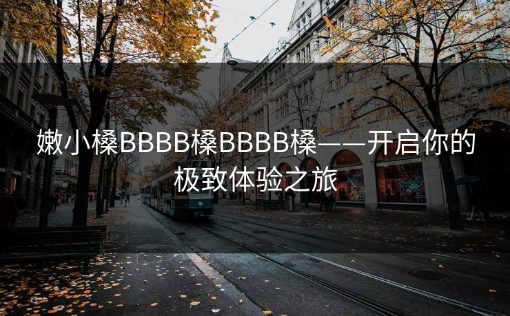 嫩小槡BBBB槡BBBB槡——开启你的极致体验之旅