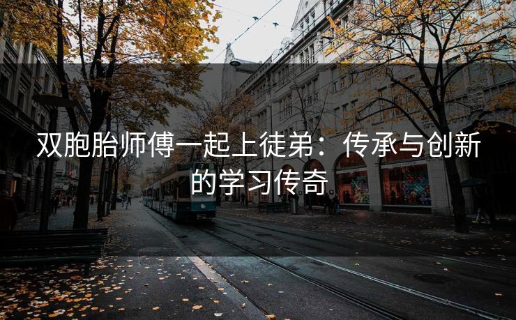 双胞胎师傅一起上徒弟：传承与创新的学习传奇