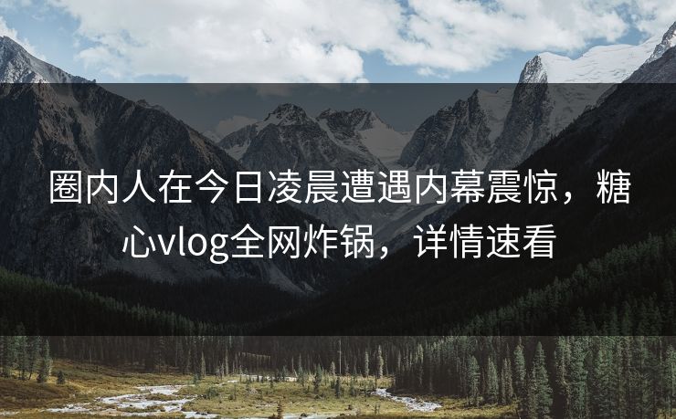 圈内人在今日凌晨遭遇内幕震惊，糖心vlog全网炸锅，详情速看