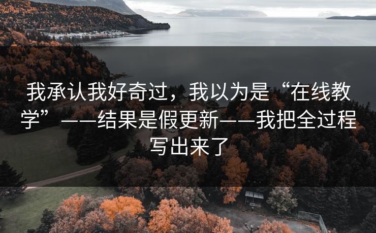 我承认我好奇过，我以为是“在线教学”——结果是假更新——我把全过程写出来了